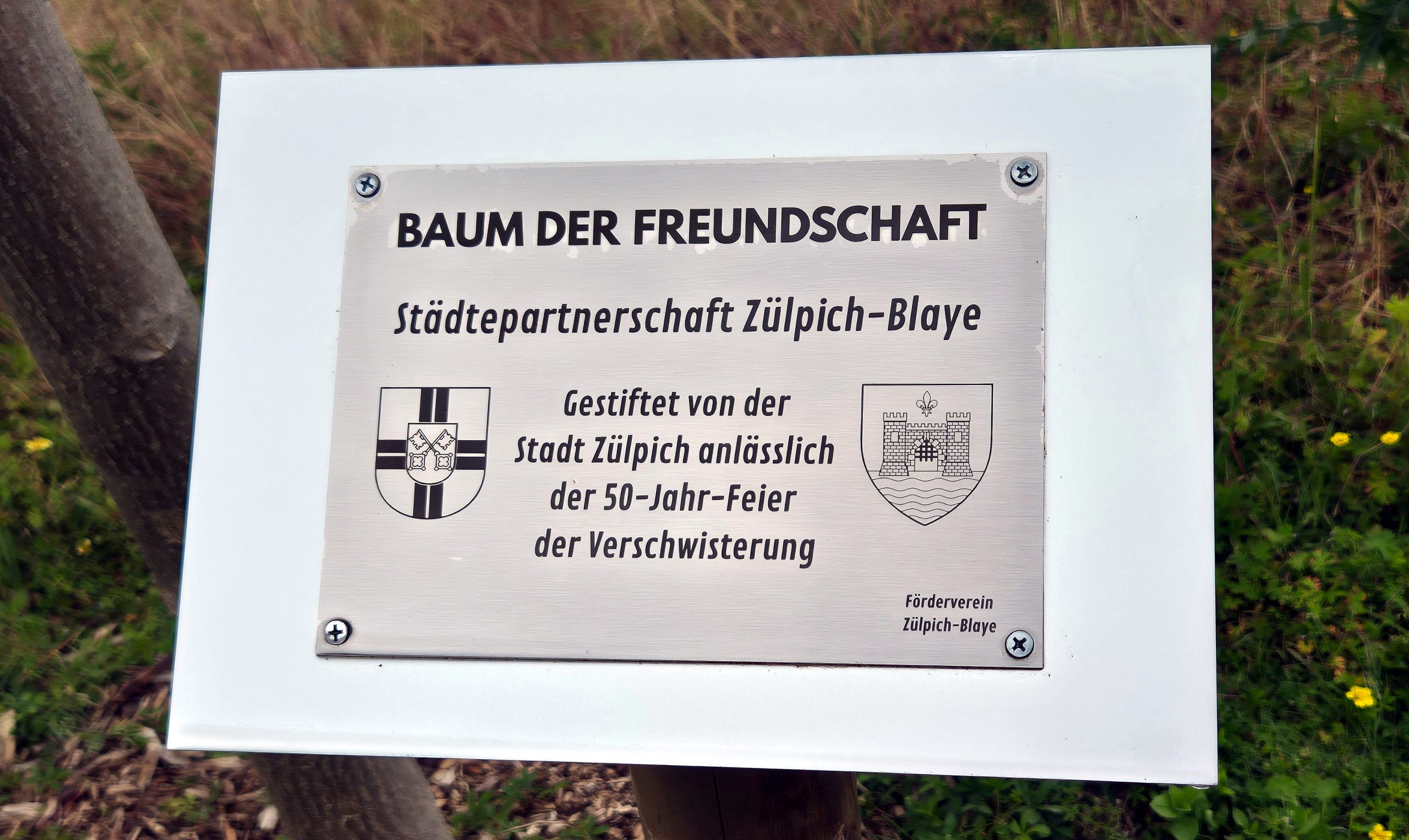 Schüleraustausch 2026 und Plakettenenthüllung